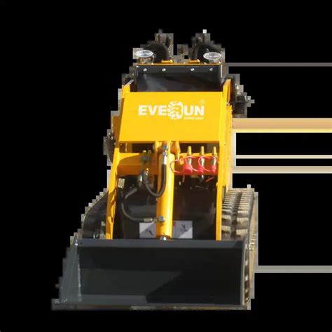 Everun CE EPA Ers280 200kg New Multifunction Cheap 